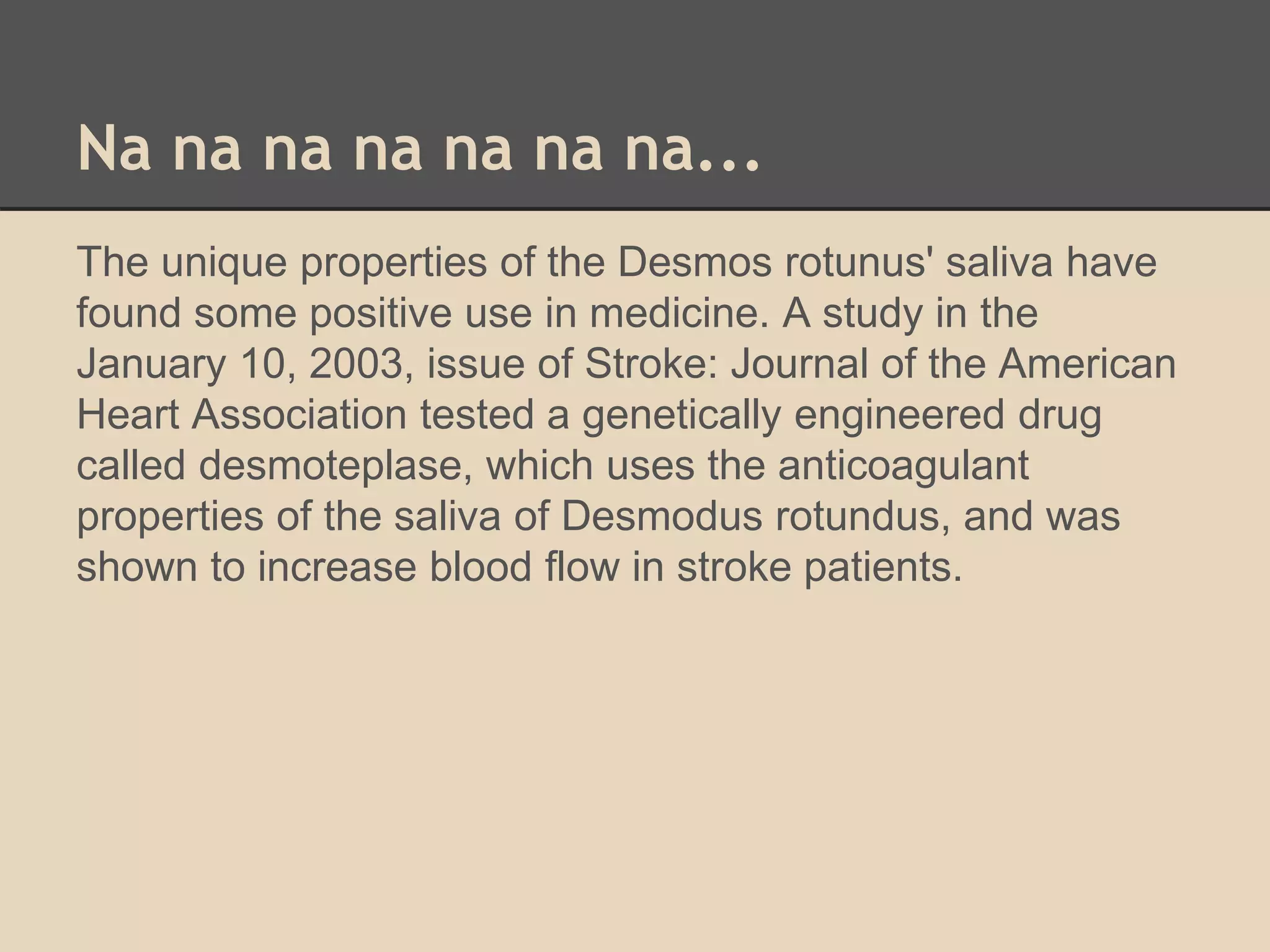 Na na na na na na na... 
The unique properties of the Desmos rotunus' saliva have 
found some positive use in medicine. A study in the 
January 10, 2003, issue of Stroke: Journal of the American 
Heart Association tested a genetically engineered drug 
called desmoteplase, which uses the anticoagulant 
properties of the saliva of Desmodus rotundus, and was 
shown to increase blood flow in stroke patients. 
 