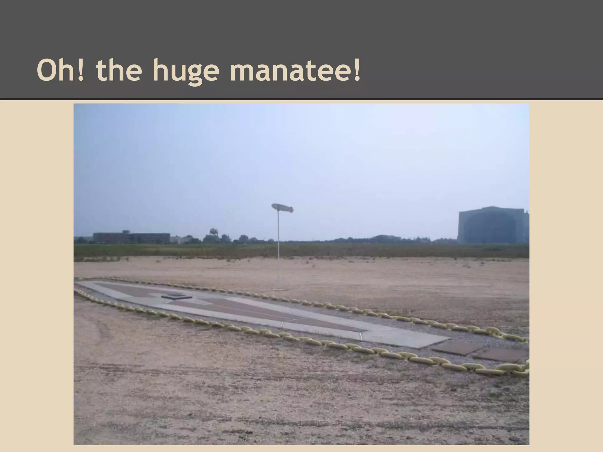 Oh! the huge manatee! 
 