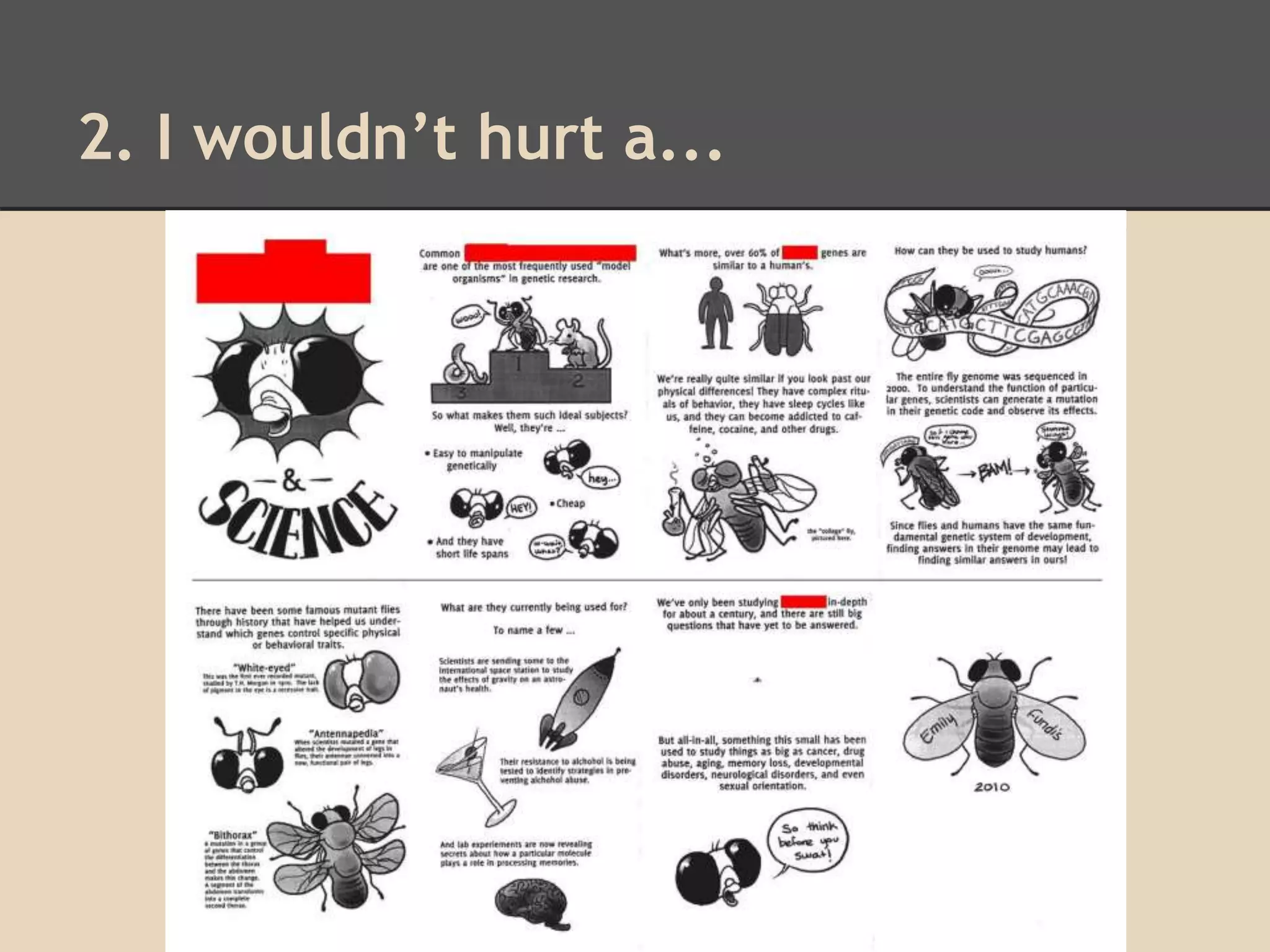 2. I wouldn’t hurt a... 
 