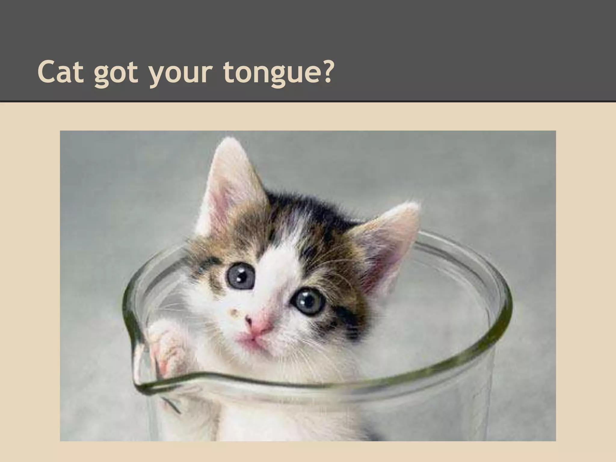 Cat got your tongue? 
 