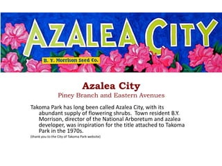 Azalea City,[object Object],Piney Branch and Eastern Avenues,[object Object],Takoma Park has long been called Azalea City, with its abundant supply of flowering shrubs.  Town resident B.Y. Morrison, director of the National Arboretum and azalea developer, was inspiration for the title attached to Takoma Park in the 1970s. ,[object Object],(thank you to the City of Takoma Park website),[object Object]
