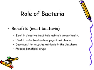 Role of Bacteria Benefits (most bacteria)   -  E.coli in digestive tract help maintain proper health. Used to make food such as yogurt and cheese. Decomposition recycles nutrients in the biosphere Produce beneficial drugs 
