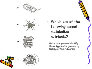 Which one of the following cannot metabolize nutrients? Make sure you can identify these types of organisms by looking at their diagram. 