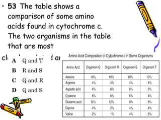 53  The table shows a comparison of some amino acids found in cytochrome c. The two organisms in the table that are most  closely  related are — 