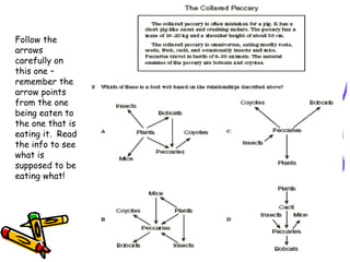 Follow the arrows carefully on this one – remember the arrow points from the one being eaten to the one that is eating it.  Read the info to see what is supposed to be eating what! 