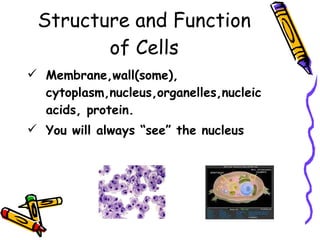 Structure and Function of Cells Membrane,wall(some), cytoplasm,nucleus,organelles,nucleic acids, protein. You will always “see” the nucleus 