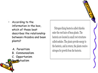 According to the information in the box, which of these best describes the relationship between rhizobia and bean plants? A.  Parasitism B.  Commensalism C.  Opportunism D.  Mutualism 