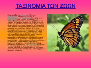 ΣΑΞΗΝΟΜΗΑ ΣΧΝ ΕΧΧΝ
•   Ζ πεηαλούδα είκαζ έκημιμ ηδξ Σάλδξ ηςκ
    Λεπζδόπηενςκ ηαζ ακήηεζ ζε ιία από ηζξ
    οπενμζημβέκεζεξ ηςκ Hesperioidea (Δζπενίεξ) ή ηςκ
    Papilionoidea (όθεξ μζ άθθεξ πεηαθμύδεξ). Οζ
    πεηαθμύδεξ ακήημοκ ζημ θύθμ ηςκ ανενόπμδςκ ηαζ
    ηδκ ηάλδ ηςκ εκηόιςκ. Σα είδδ ημοξ οπενααίκμοκ ημκ
    ανζειό ηςκ 100.000 ζε όθμ ημκ ηόζιμ. Έπμοκ ιαηνζέξ
    ηεναίεξ, δύμ γεύβδ θηενώκ ηαθοιιέκα ιε πμθύπνςια
    θέπζα, δζαεέημοκ ζημιαηζηά ιόνζα ιογδηζημύ ηύπμο ηαζ
    μζ ηεναίεξ ημοξ πμζηίθθμοκ ακάθμβα ιε ημ είδμξ.
•   Ζ ιεηαιόνθςζή ημοξ από ηδκ ζηζβιή ηδξ βέκκδζδξ, ζε
    ιμνθή ηάιπζαξ (πνμκύιθεξ), είκαζ ηενάζηζα. Έπμοκ
    ζηςθδηόιμνθμ ζώια ηαζ ιαζδηζηό ζημιαηζηό ηύπμ,
    εκώ ζοπκά δζαεέημοκ ιεηαλμεζδείξ αδέκεξ ηαζ ιε ηα
    θεπηά ζηνώιαηα ιεηαλζμύ πμο πανάβμοκ,
    δδιζμονβμύκ έκα ημοημύθζ, ζημ μπμίμ εζζένπμκηαζ ηαζ
    ιεηαηνέπμκηαζ ζε πνοζαθίδεξ. Όηακ αβαίκμοκ από ημ
    ημοημύθζ, έπμοκ πθέμκ ηδ ιμνθή εκήθζηδξ πεηαθμύδαξ.
    Οζ πεηαθμύδεξ είκαζ θοημθάβεξ ηαζ ζοπκά ημ
    ιεβαθύηενμ ηιήια ημοξ πανμοζζάγεζ πενζπηώζεζξ
    ζελμοαθζημύ δζιμνθζζιμύ. Σα Λεπζδόπηενα πςνίγμκηαζ
    ζε δύμ ηαηδβμνίεξ: ηα μιμζόκεονα, ζηα μπμία μζ
    ηέζζενζξ θηενμύβεξ πανμοζζάγμοκ όιμζεξ πηοπώζεζξ
    ηαζ ηα εηενόκεονα ζηα μπμία μζ πίζς θηενμύβεξ έπμοκ
    ιεζςιέκεξ πηοπώζεζξ.
 