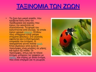 ΣΑΞΗΝΟΜΗΑ ΣΧΝ ΕΧΧΝ
•   Σμ γώμ έπεζ ιζηνό ηεθάθζ, πμο
    ηνύαεηαζ ηάης από ημκ
    πνμεώναηα ηαζ ηεναίεξ πμο
    έπμοκ ηδκ ζηακόηδηα κα
    ζοζηέθθμκηαζ. Σα θηενά ημο
    ηαθύπημκηαζ από έθοηνα, ηα μπμία
    έπμοκ πνώια ηόηηζκμ. Δπάκς
    ημοξ οπάνπμοκ επηά ιαύνα
    ζηίβιαηα (αμύθεξ). ΢ημ βεβμκόξ
    μθείθεηαζ ηαζ δ επζζηδιμκζηή
    μκμιαζία ημο εκηόιμο. Ζ
    παζπαθίηζα βεκκά πμθθά αοβά.
    Όηακ αβαίκμοκ από αοηά μζ
    πνμκύιθεξ είκαζ ιεβάθεξ ζε ιήημξ
    ηαζ έπμοκ έλζ πόδζα. Οζ
    πνμκύιθεξ, όπςξ ηαζ ηα ηέθεζα
    έκημια, ιπμνμύκ κα ηναθμύκ ιε
    αθίδεξ ηαζ επίζδξ ιε άθθα έκημια,
    πμο είκαζ επζγήιζα βζα ηδ βεςνβία.
 