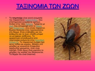 ΣΑΞΗΝΟΜΗΑ ΣΧΝ ΕΧΧΝ
•   Σμ ηζιμπούρι είκαζ ημζκή μκμιαζία
    ημο παναζζηζημύ Ανενόπμδμο, πμο
    επζζηδιμκζηά μκμιάγεηαζ κρόηων.
    Ακήηεζ ζηδκ ηάλδ Αηάνεα. Σνέθεηαζ ιε
    αίια πμο απμννμθά από ημ δένια
    ηςκ εδθαζηζηώκ, ζηα μπμία παναζζηεί.
    Ββαίκεζ δύζημθα όηακ πνμζημθθάηαζ
    ζημ δένια. Δίκαζ επζαθααέξ βζα ημκ
    άκενςπμ ηαζ ηα γώα, επεζδή ιπμνεί
    κα ιεηαθένεζ αζεέκεζεξ. Σα
    ανπαζόηενα απμθζεώιαηα από
    ηζζιπμύνζα ακάβμκηαζ ζηδκ Κνδηζδζηή
    Δπμπή [1]. Σμ παναζζηζηό γςύθζμ έπεζ
    μηηώ πόδζα ηαζ ηεναίεξ. Μμζάγεζ ζημ
    ιέβεεμξ ιε ημοημύηζζ ζηαθοθζμύ
    βηνζγςπμύ πνώιαημξ, όηακ είκαζ
    κδζηζηό. Όηακ όιςξ είκαζ πμνηάημ ημ
    ιέβεεμξ ηδξ ημζθζάξ ημο δζμβηώκεηαζ.
    Σμ δένια ημο είκαζ εθαζηζηό.
 