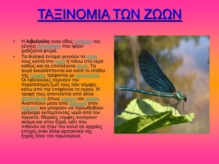 ΣΑΞΗΝΟΜΗΑ ΣΧΝ ΕΧΧΝ
•   Ζ λιβελούλη είκαζ είδμξ εκηόιμο ημο
    βέκμοξ Anisoptera πμο θένεζ
    ζνζδίγμκηα θηενά.
•   Σα εοθδηά έκημια βεκκμύκ ηα αοβά
    ημοξ ημκηά ζημ κενό ή πάκς ζημ κενό
    ηαεώξ ηαζ ζε επζπθέμκηα θοηά. Σα
    αοβά εηημθάπημκηαζ ηαζ ηαηά ημ ζηάδζμ
    ηδξ κύιθδξ ηνέθμκηαζ ιε ημοκμύπζα.
    Οζ θζαεθμύθεξ πενκμύκ ηδκ
    πενζζζόηενδ γςή ημοξ ζακ κύιθεξ
    ηάης από ηδκ επζθάκεζα ημ κενμύ. Ζ
    ηνμθή ημοξ απμηεθείηαζ από άθθα
    αζπόκδοθα όπςξ βονίκμζ ηαζ ράνζα.
    Ακαπκέμοκ ιέζα από ανάβπζα ζημκ
    πνςηηό ηαζ ιπμνμύκ κα πνμςεδεμύκ
    βνήβμνα εηπέιπμκηαξ κενό από ημκ
    πνςηηό. Μενζηέξ κύιθεξ ηοκδβμύκ
    αηόια ηαζ ζηδκ λδνά, ηάηζ πμο
    πζεακόκ κα ήηακ πζμ ημζκό ζε ανπαίεξ
    επμπέξ όηακ άθθα ανπαηηζηά ηδξ
    λδνάξ ήηακ πζμ πνςηόβμκα.
 