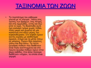 ΣΑΞΗΝΟΜΗΑ ΣΧΝ ΕΧΧΝ
•   Σμ πενπάηδια ημο ηάαμονα
    βίκεηαζ ιε ημ πθεονό , πάκς ζηζξ
    ηνύπεξ ηςκ ανάπςκ, ζηζξ πέηνεξ
    ηαζ ζηζξ αιιμοδζέξ, εκηόξ ηαζ έλς
    από ημ κενό. Σμ δεηάπμδμ αοηό
    έπεζ ημζθζαηό ηιήια πςνίξ πόδζα,
    πμθύ ιζηνό ηαζ πςιέκμ ζε ιία
    ημζθόηδηα ζημ ηάης ιένμξ ημο
    ηεθαθμεώναηα. ΢ημ ηεθάθζ έπμοκ
    ημκηέξ ηεναίεξ ιε αζζεδηήνζα
    όνβακα, ζηόια ηαζ ηα ιάηζα πάκς
    ζε ιίζπμοξ. Έπμοκ δύμ ζζαβόκεξ
    πάκς ηαζ δύμ ηάης. Σα πέκηε
    γεοβάνζα πμδζώκ πμο δζαεέημοκ
    είκαζ πμθύ ακεπηοβιέκα ηαζ ζημ
    πνώημ γεοβάνζ πμδζώκ έπμοκ ζηδκ
    άηνδ θααίδεξ. ΢ηα άθθα ηέζζενα
    δζαεέημοκ «κύπζα», ηα μπμία είκαζ
    βαιρά.
 