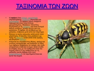 ΣΑΞΗΝΟΜΗΑ ΣΧΝ ΕΧΧΝ
•   H ζθήκα είκαζ έκημιμ, οιεκόπηενμ
    (Hymenoptera), απόηνζημ (Apocrita) ηαζ
    ηεκηνμθόνμ. Οζ ζθήηεξ έπμοκ εθάπζζημ
    ηνίπςια ηαζ είκαζ πμθύ έκημκα
    πνςιαηζζιέκεξ. Μμζάγμοκ πάκμπθεξ
    ζοβηνζηζηά ιε ηζξ ιέθζζζεξ ηαζ είκαζ ηοκδβμί
    άθθςκ εκηόιςκ, ιεηαλύ αοηώκ ηαζ ηςκ
    ιεθζζζώκ. Ζ ζθήηα, ζε ακηίεεζδ ιε ηδκ
    ιέθζζζα, επζαζώκεζ ιεηά από έκα ηζίιπδια.
•   Κάκμοκ ηζ αοηέξ ημζκςκίεξ αθθά ηαηά πμθύ
    ιζηνόηενεξ. Οζ θςθζέξ ημοξ ιμζάγμοκ ςξ
    πνμξ ηα ελάβςκα ηεθζά αθθά είκαζ βηνίγεξ
    ηαζ εοιίγμοκ πανηόκζ.
•   Υηίγμκηαζ ζε απνόαθεπηεξ εέζεζξ, αηόια ηαζ
    εκηεθώξ ηαηαηόνοθα, ηαζ ακάθμβα ημ είδμξ
    ηςκ ζθδηώκ δζαθένμοκ ζε ζπήια. Γεκ είκαζ
    απαναίηδηα επζεεηζηά έκημια, αθθά επεζδή
    μζ επαθέξ ημοξ ιε ημκ άκενςπμ είκαζ πζμ
    ζοπκέξ από μ,ηζ ημο ακενώπμο ιε ηζξ
    ιέθζζζεξ (εηηόξ αέααζα από ημοξ
    ιεθζζζμηόιμοξ), ηα ηζζιπήιαηα είκαζ ηαζ
    αοηά πζμ ζοπκά.
 