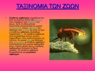 ΣΑΞΗΝΟΜΗΑ ΣΧΝ ΕΧΧΝ
•   Σύνθεηος οθθαλμός μκμιάγεηαζ έκα
    από ηα πενίπμο πέκηε είδδ ιαηζώκ,
    πμο οπάνπμοκ ζημ ααζίθεζμ ηςκ
    γώςκ. Αοηό ημ είδμξ ιαηζώκ
    ζοκακηάηαζ απμηθεζζηζηά ζε ιενζηά
    μζηναημεζδή, ζημοξ ηάαμονεξ ηαζ,
    ζδζαίηενα, ζηα έκημια. ΢ε αοηά ηα γώα
    μ ζύκεεημξ μθεαθιόξ ελεθίπεδηε
    πανάθθδθα [1]. Οζ ζύκεεημζ μθεαθιμί
    είκαζ ζοβηνόηδια απθώκ ιαηζώκ
    (ομμαηιδίων), πμο ζοθθεζημονβμύκ ςξ
    εκόηδηα. ΢ε ιενζηά είδδ ηαζ ζδζαίηενα
    ζηζξ πνμκύιθεξ μζ ζύκεεημζ μθεαθιμί
    απμηεθμύκηαζ από ιενζηά μθεαθιίδζα
    ιόκμ, πμθθέξ θμνέξ όιςξ μ ανζειόξ
    μθεαθιζδίςκ λεπενκά ηζξ δέηα
    πζθζάδεξ. Οζ ζύκεεημζ μθεαθιμί
    απμηαθμύκηαζ ηαζ μωζαϊκοί
    οθθαλμοί.
 