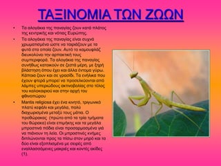 ΣΑΞΗΝΟΜΗΑ ΣΧΝ ΕΧΧΝ
•   Σα αθμβάηζα ηδξ πακαβίαξ γμοκ ηαηά πθάημξ
    ηδξ ηεκηνζηήξ ηαζ κόηζαξ Δονώπδξ.
•   Σα αθμβάηζα ηδξ πακαβίαξ είκαζ ζοπκά
    πνςιαηζζιέκα ώζηε κα ηαζνζάγμοκ ιε ηα
    θοηά ζηα μπμία γμοκ. Αοηό ημ ηαιμοθθάγ
    δζεοημθύκεζ ηδκ ανπαηηζηή ημοξ
    ζοιπενζθμνά. Σα αθμβάηζα ηδξ πακαβίαξ
    ζοκήεςξ ηαημζημύκ ζε γεζηά ιένδ, ιε λδνή
    αθάζηδζδ όπμο έπεζ ηαζ άθθα έκημια βύνς.
    Κάπμζα γμοκ ηαζ ζε βναζίδζ. Σα εκήθζηα πμο
    έπμοκ θηενά ιπμνεί κα πνμζεθηύμκηαζ από
    θάιπεξ οπενζώδμοξ αηηζκμαμθίαξ ζημ ηέθμξ
    ημο ηαθμηαζνζμύ ηαζ ζηδκ ανπή ημο
    θεζκμπώνμο
•   Mantis religiosa έπεζ έκα ηζκδηό, ηνζβςκζηό
    πθαηύ ηεθάθζ ηαζ ιεβάθα, πμθύ
    δζαπςνζζιέκα ιεηαλύ ημοξ ιάηζα. Ο
    πνμεώναηαξ (πνώημ από ηα ηνία ηιήιαηα
    ημο εώναηα) είκαζ επζιήηδξ ηαζ ηα ιεβάθα
    ιπνμζηζκά πόδζα είκαζ πνμζανιμζιέκα βζά
    κα πζάκμοκ ηδ θεία. Οζ ιπνμζηζκέξ ηκήιεξ
    δζπθώκμκηαζ πνμξ ηα πίζς ζημκ ιδνό ηαζ ηα
    δύμ είκαζ ελμπθζζιέκα ιε ζεζνέξ από
    εκαθθαζζόιεκεξ ιαηνζέξ ηαζ ημκηέξ αηίδεξ
    (1).
 