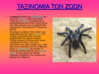 ΣΑΞΗΝΟΜΗΑ ΣΧΝ ΕΧΧΝ
•   Ζ αράτνη ακήηεζ ζηα Ανενόπμδα ηαζ
    δεκ είκαζ έκημιμ, ηαεώξ έπεζ μηηώ
    πόδζα ηαζ ημ ζώια ηδξ πςνίγεηαζ ζε
    ηεθαθμεώναηα ηαζ ημζθζά. Ακαπκέεζ ιε
    έκα είδμξ ανπαίςκ-βζα ηα ανενόπμδα-
    πκεοιόκςκ, πμο θέβμκηαζ "πκεύιμκεξ
    αζαθία".
•   Οζ ανάπκεξ ακήημοκ ζηδκ ηθάζδ ηςκ
    Αναπκζδώκ ηαζ δεκ έπμοκ θηενά. (Σα
    έκημια ή ελάπμδα είκαζ ηα ιόκα
    ανενόπμδα πμο θένμοκ θηενά)
    Πμθθέξ ανάπκεξ πθέημοκ ζζηό, όπμο
    παβζδεύμοκ έκημια, ηα μπμία
    απμηεθμύκ ηδκ ηύνζα ηνμθή ημοξ. Λίβα
    είδδ είκαζ επζηίκδοκα βζα ημκ άκενςπμ,
    όπςξ δ ηανακημύθα ηδξ μπμίαξ ημ
    δάβηςια πμκάεζ ανηεηά, ηαζ δ ιαύνδ
    πήνα, ημ δδθδηήνζμ ηδξ μπμίαξ
    πνμηαθεί πανάθοζδ ηςκ κεύνςκ ηαζ
    αηόια ηαζ ημ εάκαημ.
 