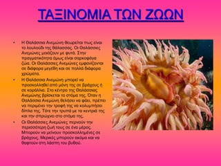 ΣΑΞΗΝΟΜΗΑ ΣΧΝ ΕΧΧΝ
•   Ζ Θαθάζζζα Ακειώκδ εεςνείηαζ πςξ είκαζ
    ημ θμοθμύδζ ηδξ εάθαζζαξ. Οζ Θαθάζζζεξ
    Ακειώκεξ ιμζάγμοκ ιε θοηά. ΢ηδκ
    πναβιαηζηόηδηα όιςξ είκαζ ζανημθάβα
    γώα. Οζ Θαθάζζζεξ Ακειώκεξ ειθακίγμκηαζ
    ζε δζάθμνα ιεβέεδ ηαζ ζε πμθθά δζάθμνα
    πνώιαηα.
•   Ζ Θαθάζζζα Ακειώκδ ιπμνεί κα
    πνμζημθθδεεί από ιόκδ ηδξ ζε ανάπμοξ ή
    ζε ημνάθθζα. ΢ημ ηέκηνμ ηδξ Θαθάζζζαξ
    Ακειώκδξ ανίζηεηαζ ημ ζηόια ηδξ. Όηακ δ
    Θαθάζζζα Ακειώκδ εεθήζεζ κα θάεζ, πνέπεζ
    κα πενζιέκεζ ηδκ ηνμθή ηδξ κα ημθοιπήζεζ
    δίπθα ηδξ. Σόηε ηδκ ηνοπά ιε ηα ηεκηνζά ηδξ
    ηαζ ηδκ ζπνώπκεζ ζημ ζηόια ηδξ.
•   Οζ Θαθάζζζεξ Ακειώκεξ πενκμύκ ηδκ
    πενζζζόηενδ γςή ημοξ ζε έκα ιένμξ.
    Μπμνμύκ κα ιείκμοκ πνμζημθθδιέκεξ ζε
    ανάπμοξ. Μενζηέξ ιπμνμύκ αηόια ηαζ κα
    εαθημύκ ζηδ θάζπδ ημο αοεμύ.
 