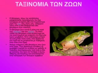 ΤΑΞΙΝΟΜΙΑ ΤΩΝ ΖΩΩΝ

•   Ο αάηναπμξ, θόβς ηδξ ηαηάθθδθδξ
    ιμνθμθμβζηήξ πνμζανιμβήξ ημο έπεζ
    ηαηαθένεζ κα ελαπθςεεί ζηα πενζζζόηενα
    ιένδ ηδξ Γδξ. ΢ηζξ ιένεξ ιαξ, οπάνπμοκ
    πάκς από 2.000 δζαθμνεηζηά είδδ
    ααηνάπςκ ζημκ πθακήηδ.
•   Οζ αάηναπμζ γμοκ ημκηά ή ιέζα ζηα κενά
    ηςκ πμηαιώκ ηαζ ηςκ θζικώκ. Σα πίζς
    πόδζα ημο ααηνάπμο είκαζ ιεβαθύηενα ηαζ
    πζμ ακαπηοβιέκα ηαζ ακάιεζα ζηα δάπηοθα
    έπμοκ ιειανάκδ. Έηζζ μ αάηναπμξ ιπμνεί
    κα ημθοιπάεζ πμθύ ηαθά, όηακ ανίζηεηαζ
    ζημ κενό ηαζ κα ιεηαηζκείηαζ ιε πδδήιαηα,
    όηακ είκαζ ζηδκ λδνά.
•   Αηόια οπάνπμοκ είδδ ααηνάπςκ πμο γμοκ
    ζηδκ λδνα. Σμοξ ανίζημοιε ζοκήεςξ ζε
    πςνάθζα ή αηόια ζε εηηάζεζξ ιε βναζίδζ. Ζ
    πενζμδμξ ακαπαναβςβήξ ημοξ είκαζ μζ ίδμζ
    ιε εηείκμοξ πμο γμοκ ζε πμηάιζα ή θίικεξ
    (Μάνηδξ ηαζ Απνίθδξ) ηαζ ηαηαηάζζμκηαζ
    ζηδκ ηαηδβμνία ηςκ άκμονςκ αιθζαίςκ
 