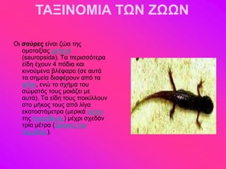 ΤΑΞΙΝΟΜΙΑ ΤΩΝ ΖΩΩΝ

Οζ ζαύρες είκαζ γώα ηδξ
   μιμηαλίαξ ενπεηά
   (sauropsida). Σα πενζζζόηενα
   είδδ έπμοκ 4 πόδζα ηαζ
   ηζκμύιεκα αθέθανα (ζε αοηά
   ηα ζδιεία δζαθένμοκ από ηα
   θίδζα, εκώ ημ ζπήια ημο
   ζώιαηόξ ημοξ ιμζάγεζ ιε
   αοηά). Σα είδδ ημοξ πμζηίθθμοκ
   ζημ ιήημξ ημοξ από θίβα
   εηαημζηόιεηνα (ιενζηά βηέημ
   ηδξ Κανασαζηήξ) ιέπνζ ζπεδόκ
   ηνία ιέηνα (Γνάημξ ημο
   Κμιόδμο).
 