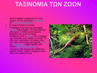 ΤΑΞΙΝΟΜΙΑ ΤΩΝ ΖΩΩΝ

•   Ασηό ηο άρθρο αναθέρεηαι ζηο ζώο
    ζαύρα. Για ηον ομώνσμο αζηεριζμό
    ,βλ. Σαύρα (αζηεριζμός).
•   Ζ ζαύνα Podarcis muralis
•   Οζ ζαύρες είκαζ γώα ηδξ μιμηαλίαξ
    ενπεηά (sauropsida). Σα πενζζζόηενα
    είδδ έπμοκ 4 πόδζα ηαζ ηζκμύιεκα
    αθέθανα (ζε αοηά ηα ζδιεία
    δζαθένμοκ από ηα θίδζα, εκώ ημ ζπήια
    ημο ζώιαηόξ ημοξ ιμζάγεζ ιε αοηά). Σα
    είδδ ημοξ πμζηίθθμοκ ζημ ιήημξ ημοξ
    από θίβα εηαημζηόιεηνα (ιενζηά βηέημ
    ηδξ Κανασαζηήξ) ιέπνζ ζπεδόκ ηνία
    ιέηνα (Γνάημξ ημο Κμιόδμο).
•   Ονζζιέκα είδδ ζαύναξ δεκ δζαεέημοκ
    ειθακή πόδζα, πανόηζ οπάνπμοκ ίπκδ
    ημοξ ζημκ ζηεθεηό ημοξ,
 