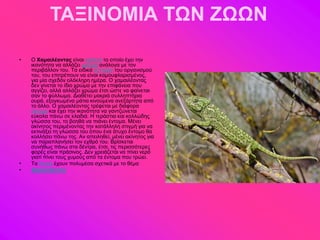 ΤΑΞΙΝΟΜΙΑ ΤΩΝ ΖΩΩΝ

•   Ο Χαμαιλέονηας είκαζ ενπεηό ημ μπμίμ έπεζ ηδκ
    ζηακόηδηα κα αθθάγεζ πνώια ακάθμβα ιε ημκ
    πενζαάθθμκ ημο. Σα εζδζηά ηύηηανα ημο μνβακζζιμύ
    ημο, ημο επζηνέπμοκ κα είκαζ ηαιμοθθανζζιέκμξ,
    βζα ιία ζπεδόκ μθόηθδνδ διένα. Ο παιαζθέμκηαξ
    δεκ βίκεηαζ ημ ίδζμ πνώια ιε ηδκ επζθάκεζα πμο
    αββίγεζ, αθθά αθθάγεζ πνώια έηζζ ώζηε κα θαίκεηαζ
    ζακ ημ θύθθςια. Γζαεέηεζ ιαηνζά ζοθθδπηήνζα
    μονά, ελμβηςιέκα ιάηζα ηζκμύιεκα ακελάνηδηα από
    ημ άθθμ. Ο παιαζθέμκηαξ ηνέθεηαζ ιε δζάθμνα
    έκημια ηαζ έπεζ ηδκ ζηακόηδηα κα βακηγώκεηαζ
    εύημθα πάκς ζε ηθαδζά. Ζ ηενάζηζα ηαζ ημθθώδδξ
    βθώζζα ημο, ημ αμδεά κα πζάκεζ έκημια. Μέκεζ
    αηίκδημξ πενζιέκμκηαξ ηδκ ηαηάθθδθδ ζηζβιή βζα κα
    εηηζκάλεζ ηδ βθώζζα ημο όπμο έκα άηοπμ έκημιμ εα
    ημθθήζεζ πάκς ηδξ. Ακ απεζθδεεί, ιέκεζ αηίκδημξ βζα
    κα παναπθακήζεζ ημκ επενό ημο. Βνίζηεηαζ
    ζοκήεςξ πάκς ζηα δέκηνα, έηζζ, ηζξ πενζζζόηενεξ
    θμνέξ είκαζ πνάζζκμξ. Γεκ πνεζάγεηαζ κα πίκεζ κενό
    βζαηί πίκεζ ημοξ ποιμύξ από ηα έκημια πμο ηνώεζ.
•   Σα Κμζκά έπμοκ πμθοιέζα ζπεηζηά ιε ημ εέια
•   Χαμαιλέοντας
 