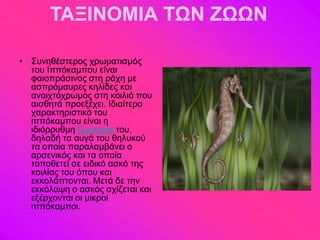 ΤΑΞΙΝΟΜΙΑ ΤΩΝ ΖΩΩΝ

• ΢οκδεέζηενμξ πνςιαηζζιόξ
  ημο Ηππόηαιπμο είκαζ
  θαζμπνάζζκμξ ζηδ νάπδ ιε
  αζπνόιαονεξ ηδθίδεξ ηαζ
  ακμζπηόπνςιμξ ζηδ ημζθζά πμο
  αζζεδηά πνμελέπεζ. Ηδζαίηενμ
  παναηηδνζζηζηό ημο
  ζππόηαιπμο είκαζ δ
  ζδζόννοειδ γςμημηία ημο,
  δδθαδή ηα αοβά ημο εδθοημύ
  ηα μπμία παναθαιαάκεζ μ
  ανζεκζηόξ ηαζ ηα μπμία
  ημπμεεηεί ζε εζδζηό αζηό ηδξ
  ημζθίαξ ημο όπμο ηαζ
  εηημθάπημκηαζ. Μεηά δε ηδκ
  εηηόθαρδ μ αζηόξ ζπίγεηαζ ηαζ
  ελένπμκηαζ μζ ιζηνμί
  ζππόηαιπμζ.
 