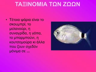 ΤΑΞΙΝΟΜΙΑ ΤΩΝ ΖΩΩΝ

• Σέημζα ράνζα είκαζ ημ
  ζημοιπνί, ημ
  ιεθακμύνζ, δ
  ζοκαβνίδα, δ βόπα,
  ημ ιπανιπμύκζ, δ
  ημοηζμιμύνα ηζ άθθα
  πμο γμοκ ζπεδόκ
  ιόκζια ζε ...
 