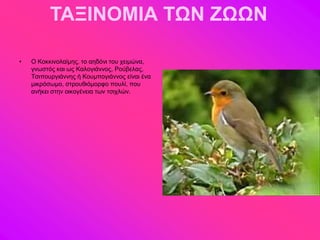 ΤΑΞΙΝΟΜΙΑ ΤΩΝ ΖΩΩΝ

•   Ο Κμηηζκμθαίιδξ, ημ αδδόκζ ημο πεζιώκα,
    βκςζηόξ ηαζ ςξ Καθμβζάκκμξ, Ρμύαεθαξ,
    Σζζπμονβζάκκδξ ή Κμοιπμβζάκκμξ είκαζ έκα
    ιζηνόζςιμ, ζηνμοεζόιμνθμ πμοθί, πμο
    ακήηεζ ζηδκ μζημβέκεζα ηςκ ηζζπθώκ.
 