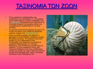 ΣΑΞΗΝΟΜΗΑ ΣΧΝ ΕΧΧΝ
•   Γέκμξ ιαθαηίςκ ηεθαθόπμδςκ ηδξ
    μζημβέκεζαξ ηςκ καοηζθζδώκ (*). Σα ιαθάηζα
    αοηά πανμοζζάγμοκ ιεβάθμ εκδζαθένμκ βζα
    ηδκ Εςμθμβία εεςνμύιεκα όηζ απμηεθμύκ ηα
    ηεθεοηαία θείρακα ηδξ ιεβάθδξ ηάλδξ ηςκ
    ηεηναανάβπζςκ ηεθαθόπμδςκ πμο έπεζ
    εηθείρεζ.
•   Οζ καοηίθμζ απακηώκηαζ ζήιενα ζε ιόκμ 3 ή
    4 είδδ πμο αζμύκ ζημκ Ηκδζηό ηαζ Δζνδκζηό
    ςηεακό, ηονίςξ ζηδ Νέα Καθδδμκία.
•   Δίκαζ εοιεβέεδ ιαθάηζα πμο θένμοκ 4
    ανάβπζα, ιε πμθοπθδεείξ πθμηάιμοξ πςνίξ
    αεκημύγεξ (ζζηύεξ). Σμ όζηναηό ημοξ (πμο
    ιμζάγεζ ιε ημο ζαθζβηανζμύ) είκαζ
    ζπεζνμεζδέξ πμο δζαζνείηαζ εζςηενζηά ιε
    εβηάνζζα δζαθνάβιαηα ζε πμθθμύξ
    εαθάιμοξ, πμο ζοκδέμκηαζ ιεηαλύ ημοξ ιε
    ζζθώκζμ. Σμ γώμ παναιέκεζ ζημοξ δύμ
    πνώημοξ εαθάιμοξ εκώ ημοξ οπόθμζπμοξ
    ιπμνεί κα βειίζεζ ιε κενό ή αένα ηαζ έηζζ κα
    ιεηαηζκείηαζ βνήβμνα ηαε΄ ύρμξ. ΢ημ αοεό
    ηζκείηαζ ιε ημοξ πθμηάιμοξ ημο.
 