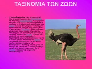 ΤΑΞΙΝΟΜΙΑ ΤΩΝ ΖΩΩΝ

•   Ζ ζηροσθοκάμηλος είκαζ ιεβάθμ πηδκό,
    πμο ακήηεζ ζηδκ μζημβέκεζα ΢ηνμοεζμκίδεξ
    ηαζ ζηδκ ηάλδ ΢ηνμοεζόιμνθα ηςκ δνμιέςκ.
    Τπάβεηαζ ζηδκ μιάδα ηςκ αηνμπζδμθόνςκ
    πμοθζώκ, ηα μπμία ζηενμύκηαζ ηνόπζδαξ ζημ
    ζηένκμ ημοξ ηαζ δεκ ιπμνμύκ κα πεηάλμοκ.
    Δίκαζ ζοββεκζηό είδμξ ιε ημοξ δνμιείξ πμο
    έγδζακ ηαηά ημ Σνζημβεκέξ . Πνόηεζηαζ βζα ημ
    ιεβαθύηενμ πμοθί πμο γεζ ζήιενα ζημκ
    πθακήηδ ιαξ. Εεζ ζε αβέθεξ ηαζ ηνέθεηαζ ιε
    ζπόνμοξ, θνμύηα ηαζ έκημια. Δλαζηίαξ ημο
    ηοκδβζμύ ηδξ βζα ημ θηένςιά ηδξ,
    παναηδνείηαζ ιείςζδ ημο πθδεοζιμύ ηδξ ηα
    ηεθεοηαία πνόκζα, ζδζαίηενα ζηδκ Αθνζηή ηαζ
    ζηδκ Ανααζηή Υενζόκδζμ. Σα θηενά ημο
    πμοθζμύ πνδζζιμπμζμύκηαζ βζα
    δζαημζιδηζημύξ ζημπμύξ, εκώ ημ ηνέαξ ηαζ
    ηα αοβά ηδξ ηνώβμκηαζ. ΢ε πμθθέξ πενζμπέξ
    ημο ηόζιμο, ιεηαλύ ηςκ μπμίςκ ηαζ δ
    Δθθάδα οπάνπμοκ ηαζ εηηνμθεία
    ζηνμοεμηαιήθςκ.
 