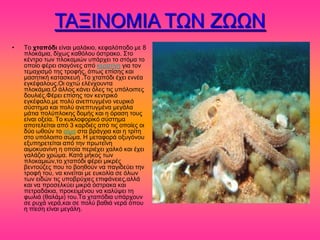 ΣΑΞΗΝΟΜΗΑ ΣΧΝ ΕΧΧΝ
•   Σμ τηαπόδι είκαζ ιαθάηζμ, ηεθαθόπμδμ ιε 8
    πθμηάιζα, δίπςξ ηαεόθμο όζηναημ. ΢ημ
    ηέκηνμ ηςκ πθμηαιζώκ οπάνπεζ ημ ζηόια ημ
    μπμίμ θένεζ ζζαβόκεξ από ηεναηίκδ βζα ημκ
    ηειαπζζιό ηδξ ηνμθήξ, όπςξ επίζδξ ηαζ
    ιαζδηζηή ηαηαζηεοή .Σμ πηαπόδζ έπεζ εκκέα
    εβηέθαθμοξ.Οζ μπηώ εθέκπμοκηα
    πθμηάιζα.Ο άθθμξ ηάκεζ όθεξ ηζξ οπόθμζπεξ
    δμοθζέξ.Φένεζ επίζδξ ημκ ηεκηνζηό
    εβηέθαθμ,ιε πμθύ ακεπηοβιέκμ κεονζηό
    ζύζηδια ηαζ πμθύ ακεπηοβιέκα ιεβάθα
    ιάηζα πμθύπθμηδξ δμιήξ ηαζ δ όναζδ ημοξ
    είκαζ μλεία. Σμ ηοηθμθμνζηό ζύζηδια
    απμηεθείηαζ από 3 ηανδζέξ από ηζξ μπμίεξ μζ
    δύμ ςεμύκ ημ αίια ζηα ανάβπζα ηαζ δ ηνίηδ
    ζημ οπόθμζπμ ζώια. Ζ ιεηαθμνά μλοβόκμο
    ελοπδνεηείηαζ από ηδκ πνςηεΐκδ
    αζιμηοακίκδ δ μπμία πενζέπεζ παθηό ηαζ έπεζ
    βαθάγζμ πνώια. Καηά ιήημξ ηςκ
    πθμηαιζώκ,ημ πηαπόδζ θένεζ ιζηνέξ
    αεκημύγεξ πμο ημ αμδεμύκ κα παβζδεύεζ ηδκ
    ηνμθή ημο, κα ηζκείηαζ ιε εοημθία ζε όθςκ
    ηςκ εζδώκ ηζξ οπμανύπζεξ επζθάκεζεξ,αθθά
    ηαζ κα πνμζεθηύεζ ιζηνά όζηναηα ηαζ
    πεηναδάηζα, πνμηεζιέκμο κα ηαθύρεζ ηδ
    θςθζά (εαθάιζ) ημο.Σα πηαπόδζα οπάνπμοκ
    ζε νοπά κενά,ηαζ ζε πμθύ ααεζά κενά όπμο
    δ πίεζδ είκαζ ιεβάθδ.
 