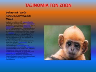 ΤΑΞΙΝΟΜΙΑ ΤΩΝ ΖΩΩΝ
Θθλαςτικά Γενοφν
Πλιρωσ Αναπτυγμζνα
Μικρά
Μαϊμοφ ονομάηεται κάκε κερκοπικθκιδζσ
(μαϊμοφδεσ Παλαιοφ Κόςμου) ι πλατφρρινο
(μαϊμοφδεσ Νζου Κόςμου) πρωτεφον. Όλα τα
πρωτεφοντα που δεν είναι προςιμιίδεσ ι
πίκθκοι, είναι μαϊμοφδεσ. Σιμερα υπάρχουν
264 γνωςτά ςωηόμενα είδθ μαϊμοφδων και
αντιπροςωπεφουν δφο από τισ τρεισ ομάδεσ
των ςιμιίδων πρωτευόντων (θ τρίτθ ομάδα
αποτελείται από τα 22 είδθ πικικων). Οι
μαϊμοφδεσ γενικά κεωροφνται ωσ νοιμων
ηϊο και, ςε αντίκεςθ με τουσ πικικουσ, οι
μαϊμοφδεσ ζχουν ουρζσ.
Οι μαϊμοφδεσ Νζου Κόςμου ταξινομοφνται
μζςα ςτθν υποτάξθ Πλατφρρινοι, ενϊ οι
μαϊμοφδεσ Παλαιοφ Κόςμου
(υπεροικογζνεια Κερκοπικθκοειδι)
αποτελοφν μζροσ τθν υπόταξθσ Κατάρρινοι,
θ οποία περιλαμβάνει επίςθσ τουσ πικικουσ.
Για αυτόν τον λόγο, ςφμφωνα με τθν
επιςτθμονικι ορολογία, οι μαϊμοφδεσ είναι
παραφυλετικι ομάδα (δθλαδι δεν
αποτελοφν μία ςυνεκτικι ομάδα) και τα
Κερκοπικθκοειδι ςυγγενεφουν περιςςότερο
με τουσ πικικουσ απ' ότι με τουσ
Πλατφρρινουσ
 