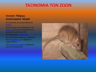 ΤΑΞΙΝΟΜΙΑ ΤΩΝ ΖΩΩΝ

Γεννοφν Πλιρωσ
Αναπτυγμζνα Μικρά
Στθ Ηωολογία, ςτο μικρό κθλαςτικό
ποντίκι.
Στθν Επιςτιμθ των Υπολογιςτϊν, ςτο
ποντίκι, μια ςυςκευι κατάδειξθσ που
χρθςιμοποιείται ςτουσ Θ/Υ.
Στθν εφθμερίδα «Το Ποντίκι»
Στθν κοινι αργκό γλϊςςα, μεταφορικά
για το Δικζφαλο μυ του βραχίονα:
«κάνε ποντίκι».
Στθν ςτρατιωτικι αργκό, μεταφορικά
για τον νζο ςτρατιώτη.
 