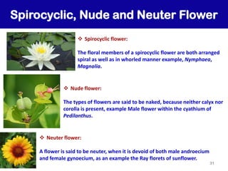 Comprehensive Principles and Practices of Plant Taxonomy and ...