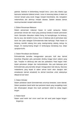 gastrula. Gastrula ini berkembang menjadi larva. Larva atau disebut juga
bipinnaria berbentuk bilateral simetri. Larva ini berenang bebas di dalam air
mencari tempat yang cocok hingga menjadi branchidaria, lalu mengalami
metamorfosis dan akhirnya menjadi dewasa. Setelah dewasa bentuk
tubuhnya berubah menjadi radial simetri.


2. Sistem Pencernaan Makanan
Sistem    pencernaan     makanan   hewan    ini   sudah   sempurna.      Sistem
pencernaan dimulai dari mulut yang posisinya berada di bawah permukaan
tubuh. Kemudian diteruskan melalui faring, ke kerongkongan, ke lambung,
lalu ke usus, dan terakhir di anus. Anus ini letaknya ada di permukaan atas
tubuh dan pada sebagian Echinodermata tidak berfungsi. Pada hewan ini
lambung memiliki cabang lima yang masing-masing cabang menuju ke
lengan. Di masing-masing lengan ini lambungnya bercabang dua, tetapi
ujungnya buntu.


3. Sistem Pernafasan dan Ekskresi
Echinodermata     bernafas   menggunakan     paru-paru    kulit   atau   dermal
branchiae (Papulae) yaitu penonjolan dinding rongga tubuh (selom) yang
tipis. Tonjolan ini dilindungi oleh silia dan pediselaria. Pada bagian inilah
terjadi pertukaran oksigen dan karbondioksida. Ada pula beberapa jenis
Echinodermata yang bernafas dengan menggunakan kaki tabung. Sisa-sisa
metabolisme yang terjadi di dalam sel-sel tubuh akan diangkut oleh
amoebacyte (sel-sel amoeboid) ke dermal branchiae untuk selanjutnya
dilepas ke luar tubuh.


4. Sistem Sirkulasi
Sistem peredaran darah Echinodermata umumnya tereduksi, sukar diamati.
Sistem peredaran darah terdiri dari pembuluh darah yang mengelilingi mulut
dan dihubungkan dengan lima buah pembuluh radial ke setiap bagian
lengan.


5. Sistem Saraf
Sistem saraf terdiri dari cincin saraf dan tali saraf pada bagian lengan-
  lengannya
 