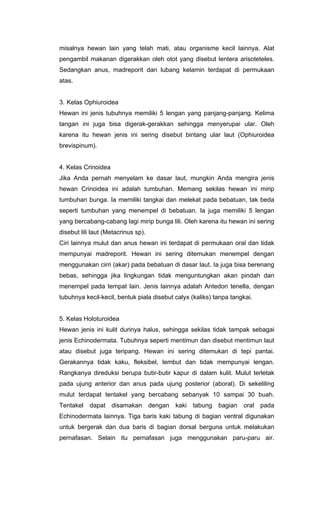 misalnya hewan lain yang telah mati, atau organisme kecil lainnya. Alat
pengambil makanan digerakkan oleh otot yang disebut lentera arisoteteles.
Sedangkan anus, madreporit dan lubang kelamin terdapat di permukaan
atas.


3. Kelas Ophiuroidea
Hewan ini jenis tubuhnya memiliki 5 lengan yang panjang-panjang. Kelima
tangan ini juga bisa digerak-gerakkan sehingga menyerupai ular. Oleh
karena itu hewan jenis ini sering disebut bintang ular laut (Ophiuroidea
brevispinum).


4. Kelas Crinoidea
Jika Anda pernah menyelam ke dasar laut, mungkin Anda mengira jenis
hewan Crinoidea ini adalah tumbuhan. Memang sekilas hewan ini mirip
tumbuhan bunga. Ia memiliki tangkai dan melekat pada bebatuan, tak beda
seperti tumbuhan yang menempel di bebatuan. Ia juga memiliki 5 lengan
yang bercabang-cabang lagi mirip bunga lili. Oleh karena itu hewan ini sering
disebut lili laut (Metacrinus sp).
Ciri lainnya mulut dan anus hewan ini terdapat di permukaan oral dan tidak
mempunyai madreporit. Hewan ini sering ditemukan menempel dengan
menggunakan cirri (akar) pada bebatuan di dasar laut. Ia juga bisa berenang
bebas, sehingga jika lingkungan tidak menguntungkan akan pindah dan
menempel pada tempat lain. Jenis lainnya adalah Antedon tenella, dengan
tubuhnya kecil-kecil, bentuk piala disebut calyx (kaliks) tanpa tangkai.


5. Kelas Holoturoidea
Hewan jenis ini kulit durinya halus, sehingga sekilas tidak tampak sebagai
jenis Echinodermata. Tubuhnya seperti mentimun dan disebut mentimun laut
atau disebut juga teripang. Hewan ini sering ditemukan di tepi pantai.
Gerakannya tidak kaku, fleksibel, lembut dan tidak mempunyai lengan.
Rangkanya direduksi berupa butir-butir kapur di dalam kulit. Mulut terletak
pada ujung anterior dan anus pada ujung posterior (aboral). Di sekeliling
mulut terdapat tentakel yang bercabang sebanyak 10 sampai 30 buah.
Tentakel   dapat     disamakan       dengan   kaki   tabung   bagian   oral   pada
Echinodermata lainnya. Tiga baris kaki tabung di bagian ventral digunakan
untuk bergerak dan dua baris di bagian dorsal berguna untuk melakukan
pernafasan. Selain itu pernafasan juga menggunakan paru-paru air.
 