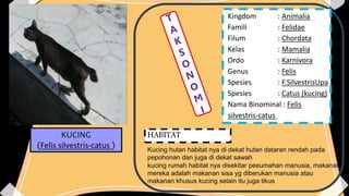 Taksonomi tumbuhan dan hewan | PPTX