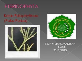 Kelas Psilophytinae
(Paku Purba)




                      STKIP MUHAMMADIYAH
                                BONE
                             2012/2013
 