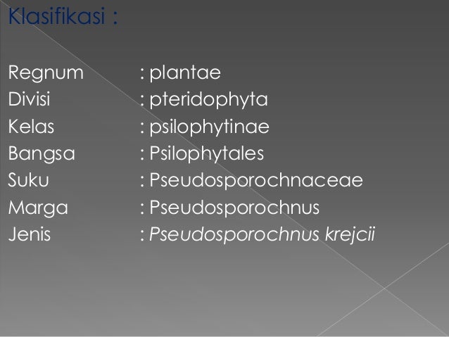 Taksonomi tumbuhan i,kelompok 3, biologi 3