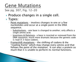 Produce changes in a single cell.Types:Point mutations– involves changes in one or a few nucleotides and occur at a single point in the DNA sequence.Substitutions – one base is changed to another; only affects a single amino acid.Insertions & Deletions– a base is inserted or removed from the DNA sequence; much more dramatic because the genetic code is read in 3-base codons.Frameshift mutations– the shifting of codons & the “reading frame” which may change every amino acid that follows the point of the mutation.  It can alter a protein so much that it is unable to perform its normal functions.Gene MutationsSee pg. 307, Fig. 12-20