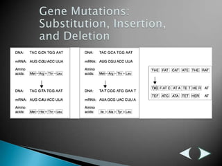 Gene Mutations: Substitution, Insertion, and DeletionDeletionInsertionSubstitution