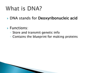 DNA stands for Deoxyribonucleic acidFunctions:Store and transmit genetic infoContains the blueprint for making proteinsWhat is DNA?