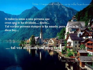 Si todavía amas a una persona que  crees que te ha olvidado.... díselo...  Tal vez esa persona siempre te ha amado, pero si no se lo dices hoy... …  tal vez mañana sea muy tarde.  