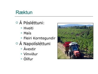 Ræktun Á Pósléttuni: Hveiti Maís Fleiri Korntegundir Á Napolísléttuni Ávextir Vínviður Ólífur 
