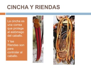 CINCHA Y RIENDAS
La cincha es
una correa
que protege
al estómago
del caballo.
Y las
Riendas son
para
controlar al
caballo.
 