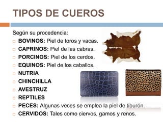 TIPOS DE CUEROS
Según su procedencia:
 BOVINOS: Piel de toros y vacas.
 CAPRINOS: Piel de las cabras.
 PORCINOS: Piel de los cerdos.
 EQUINOS: Piel de los caballos.
 NUTRIA
 CHINCHILLA
 AVESTRUZ
 REPTILES
 PECES: Algunas veces se emplea la piel de tiburón.
 CERVIDOS: Tales como ciervos, gamos y renos.
 