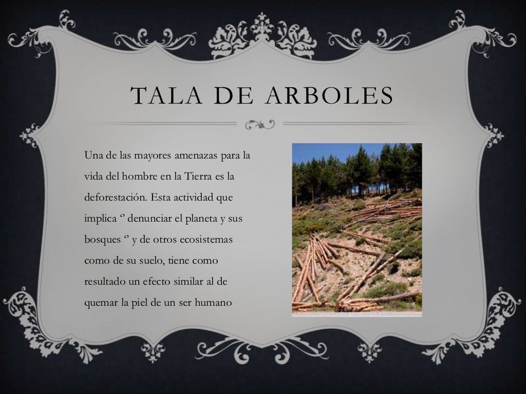 Tala de arboles