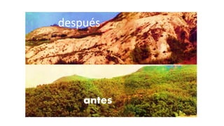 antes
después
 