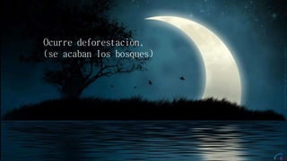 Ocurre deforestación,
(se acaban los bosques)
 