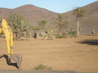 Tala en la construcción de la Ciudad Deportiva de Gran Tarajal